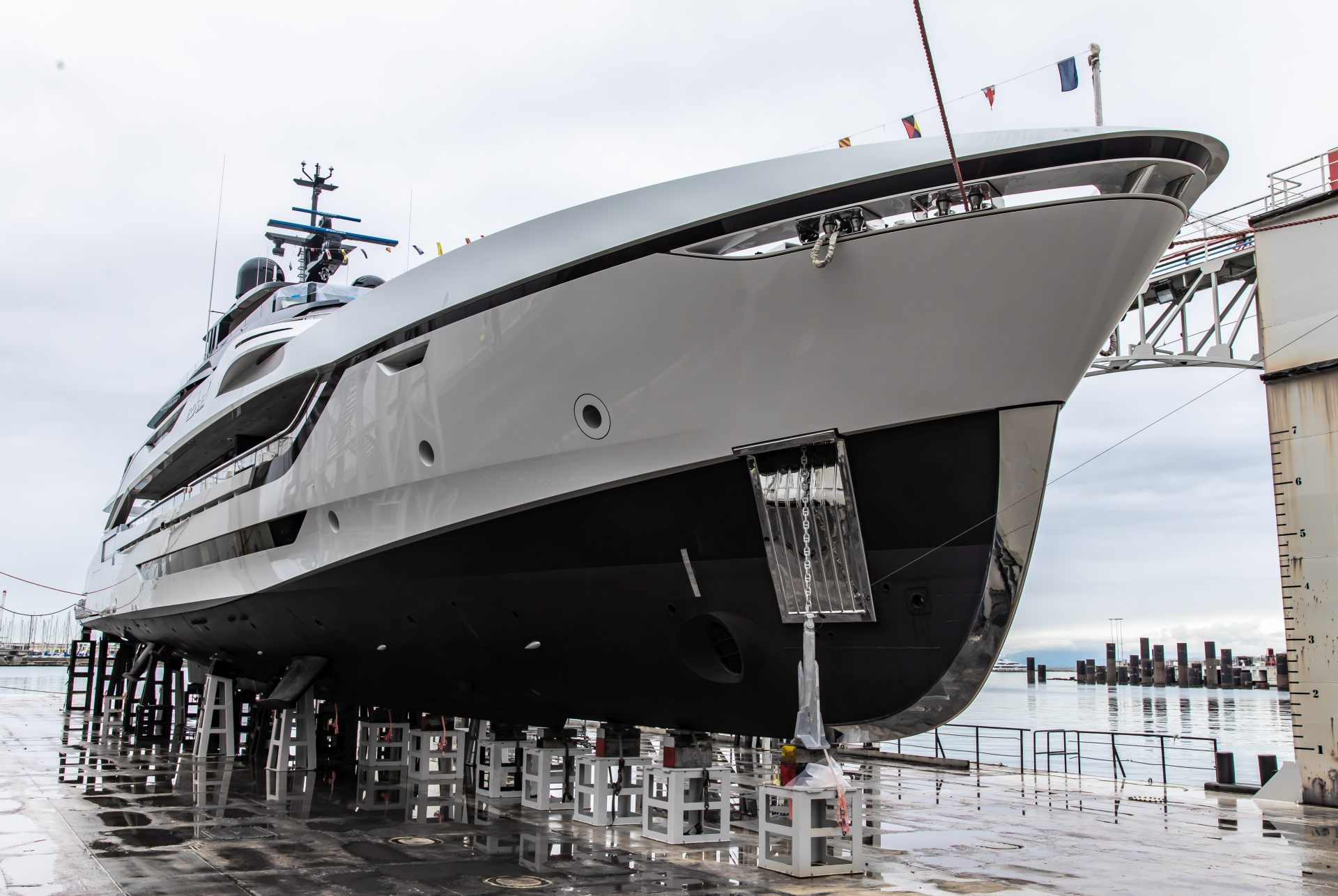 Tankoa T55 Sportiva: A Bold New Era Begins
