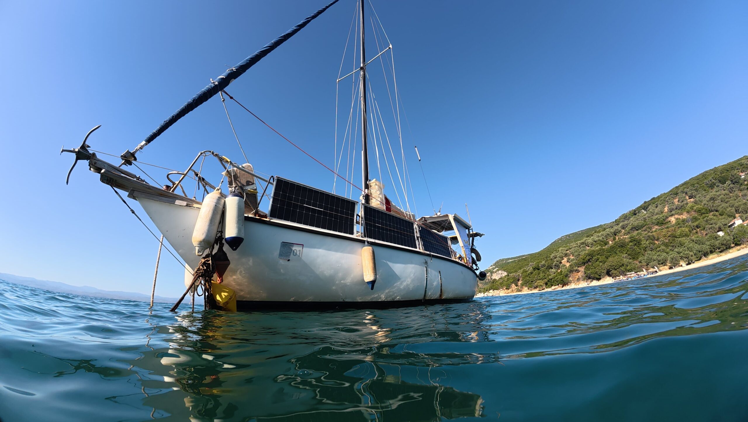 1,000 Miles for 1,000 Mediterranean Monk Seals: Seal Greece Concludes Landmark Campaign